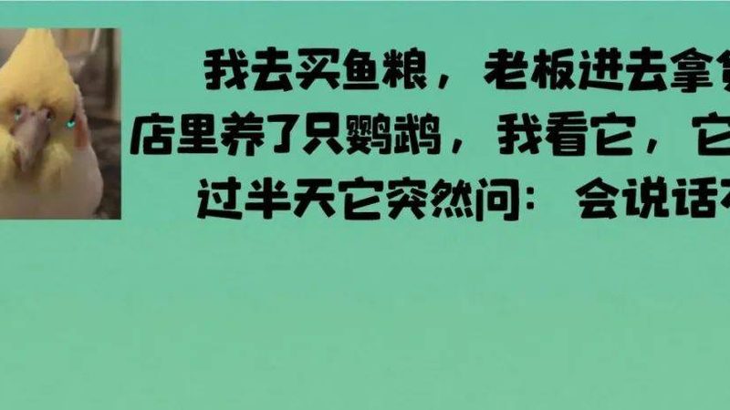 大米规格参数背后藏着哪些门道
