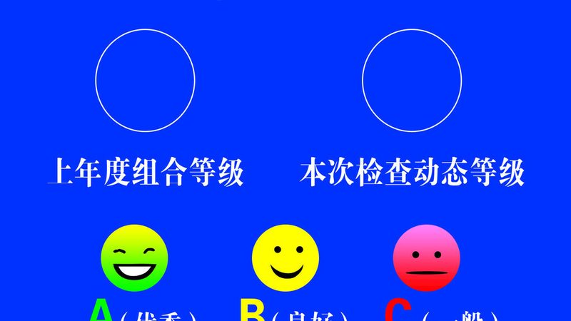出口级蜜饯果干：揭秘规格型号背后的品质密码